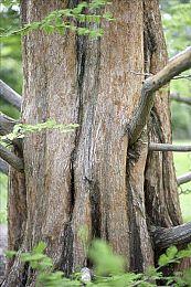 《高达破坏者4》首弹DLC10月24日上线 新机体故事参战